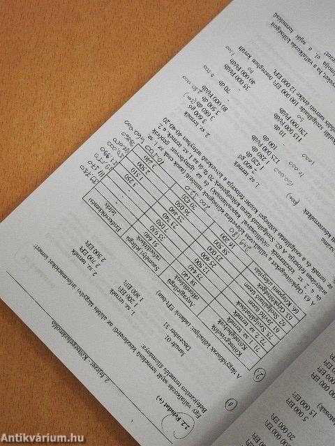 Példatár a vezetői számvitelhez