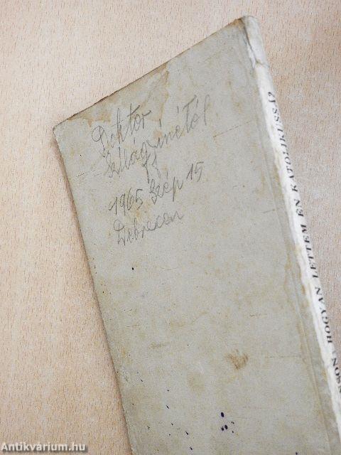 Hogyan lettem én katolikussá?