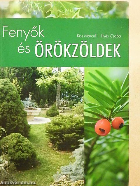 Fenyők és örökzöldek