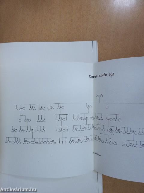 Alkalmazkodás, ellenállás, mobilitás (kétszeresen dedikált példány)