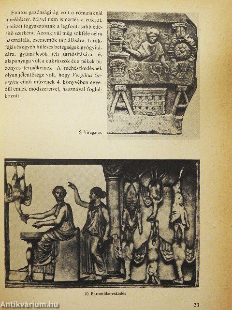 Az antik Róma napjai