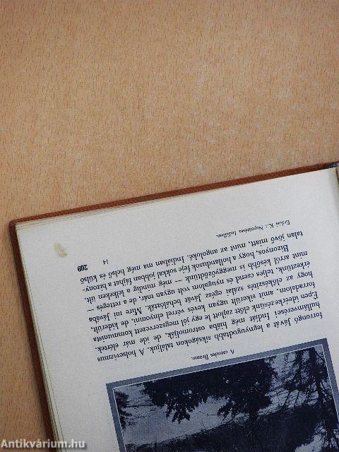 Napsütéses Indiában