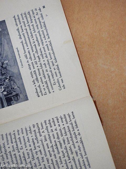 Napsütéses Indiában