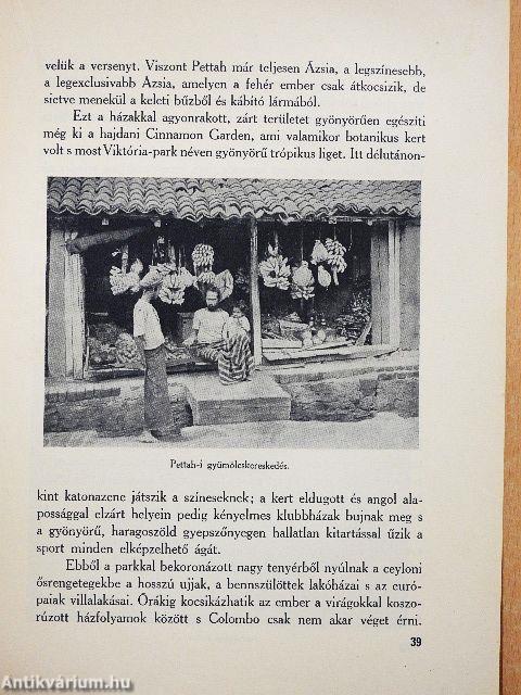 Napsütéses Indiában