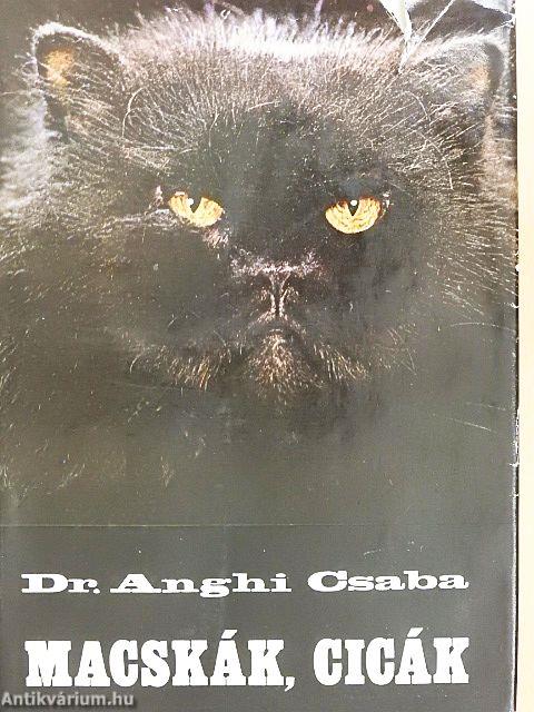 Macskák, cicák