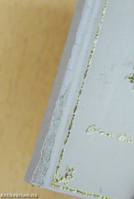 A Szépség' Ereje A Bajnoki Szívenn (minikönyv)