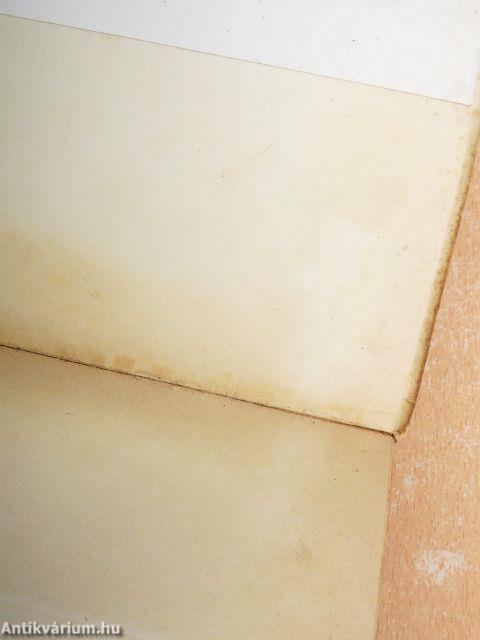 Il "mistero" delle origini di Roma