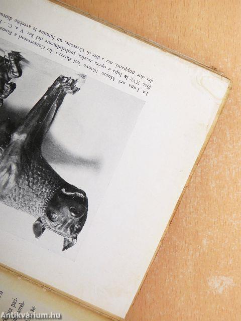 Il "mistero" delle origini di Roma