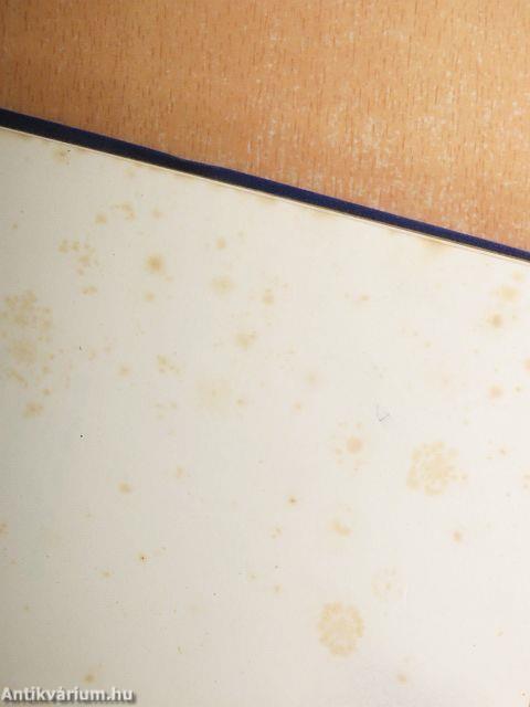 Business letters and documents in english, french and spanish