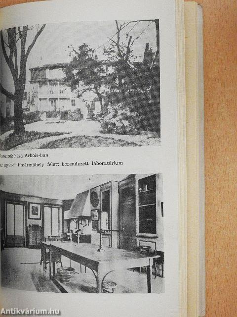 Láthatatlan ragadozók legyőzője