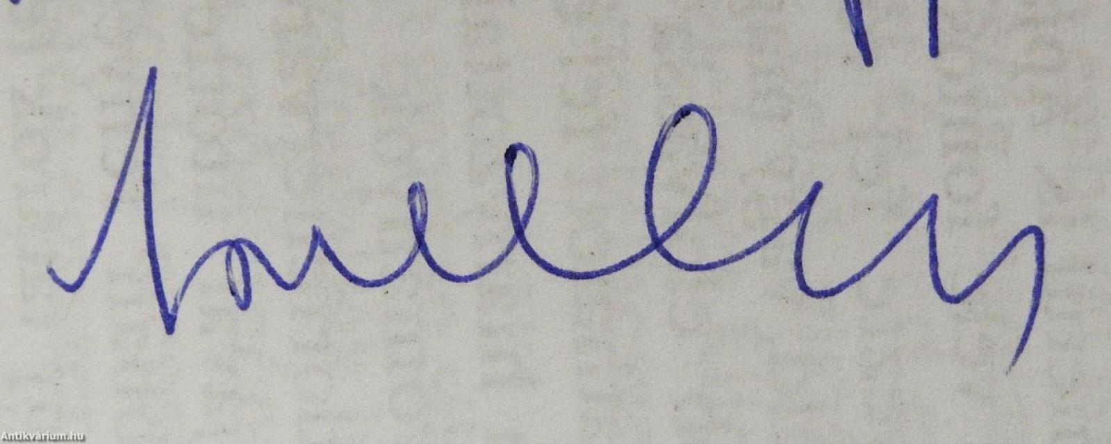 Szeged 2008. július (dedikált példány)