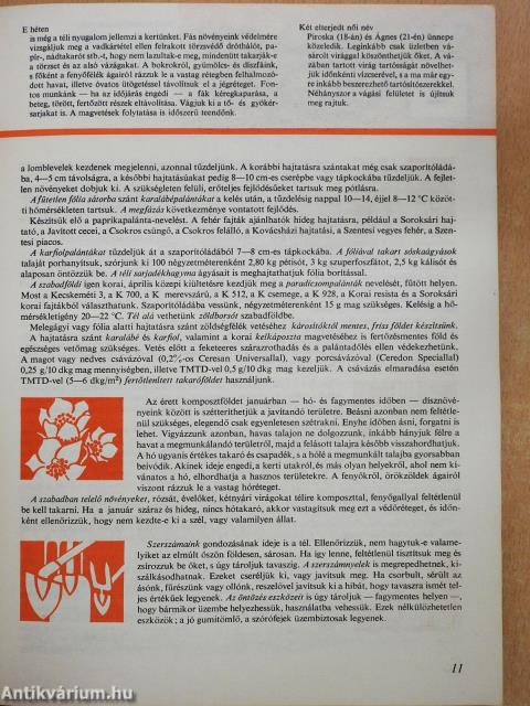 Idejében szólunk (aláírt példány)