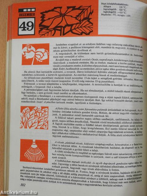 Idejében szólunk (aláírt példány)