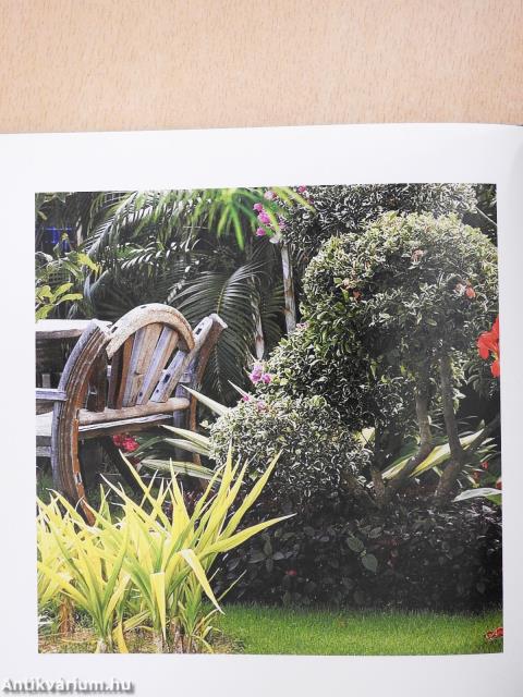 Október (dedikált példány)