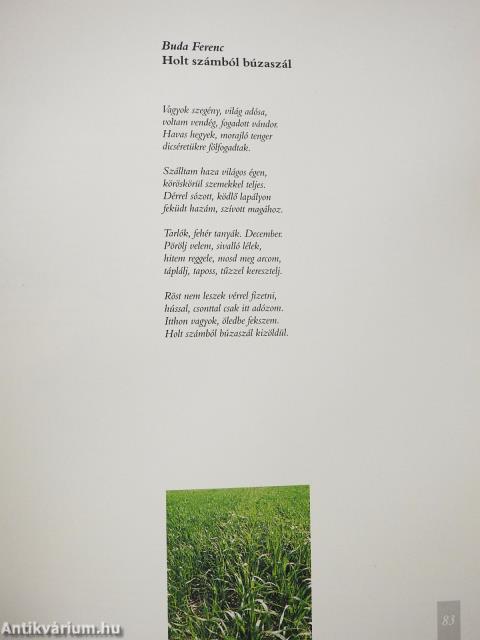 Homok-haza (dedikált példány)