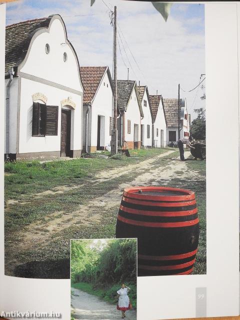 Homok-haza (dedikált példány)