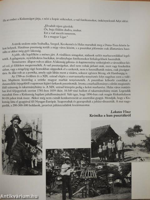 Homok-haza (dedikált példány)