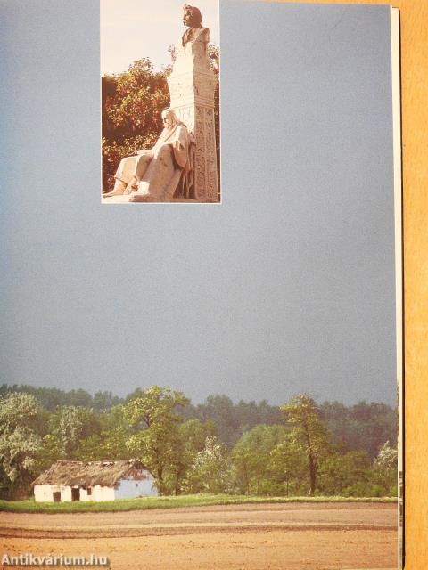 Homok-haza (dedikált példány)