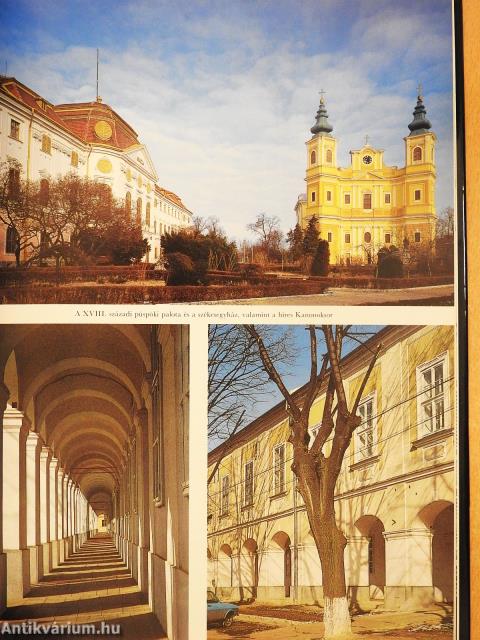 Szent László és városa (dedikált példány)