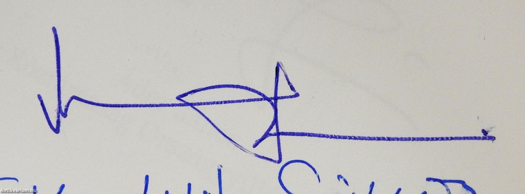 A karcagi választókerület története 1825-től napjainkig (többszörösen dedikált példány)