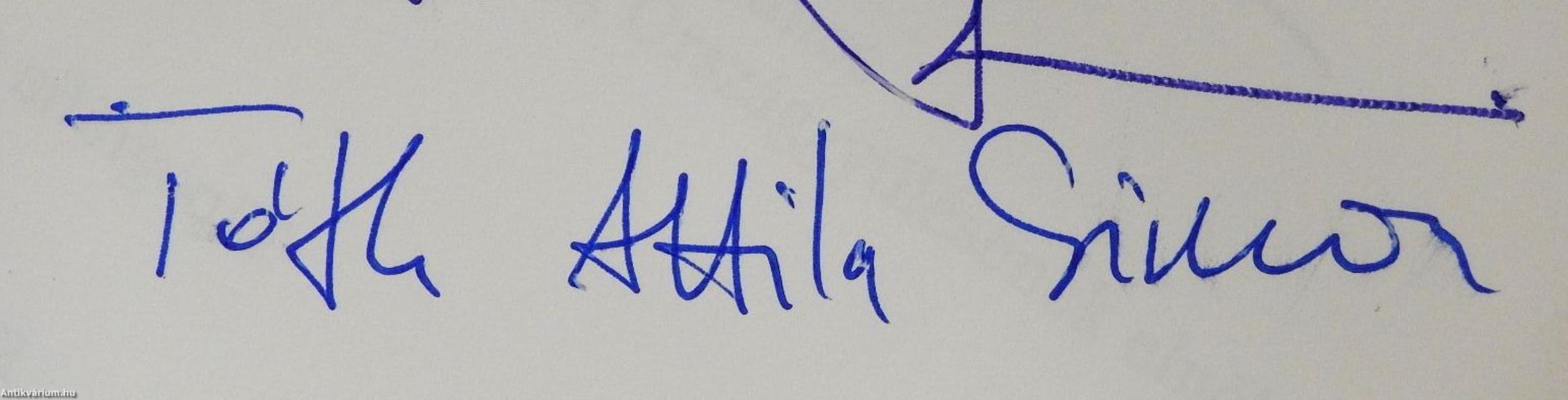 A karcagi választókerület története 1825-től napjainkig (többszörösen dedikált példány)