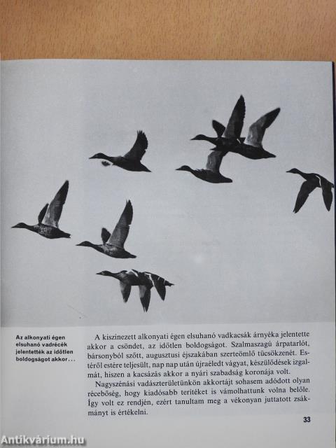Őszi vizeken (dedikált példány)