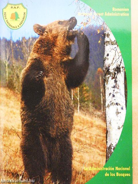 Romanian National Forest Administration
