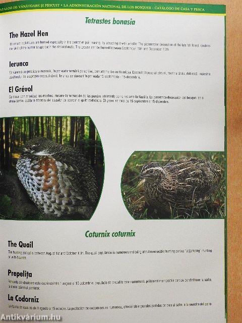 Romanian National Forest Administration