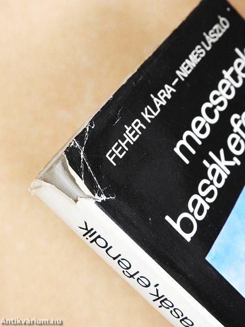 Mecsetek, basák, efendik