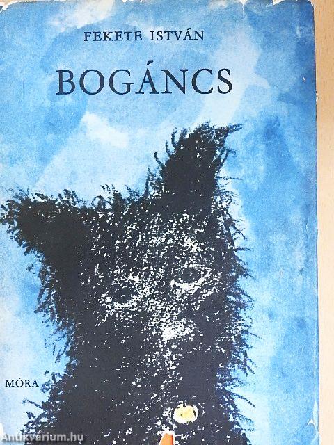 Bogáncs