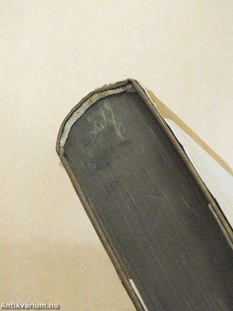 Die Jugend des Königs Henri Quatre