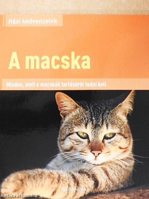 A macska