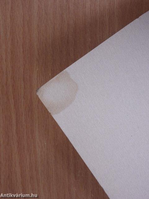 Candide vagy az optimizmus