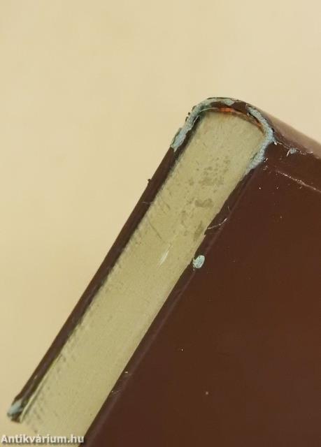 Szegedi emlékek (minikönyv)