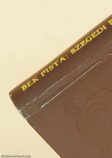 Szegedi emlékek (minikönyv)