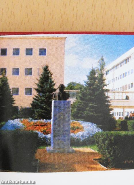 Kőbánya 1945-1985 (minikönyv)