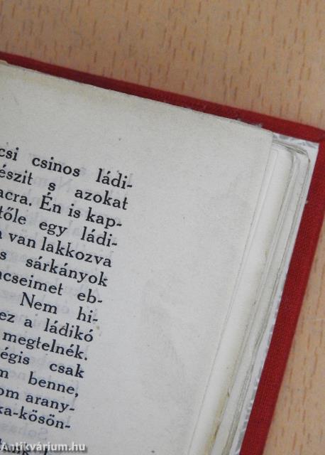 Ti-Ka naplója (minikönyv)