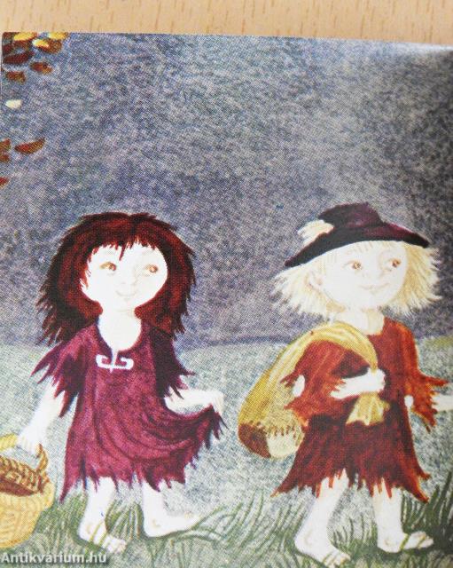 Kleines Sing- und Bilderbuch (minikönyv)