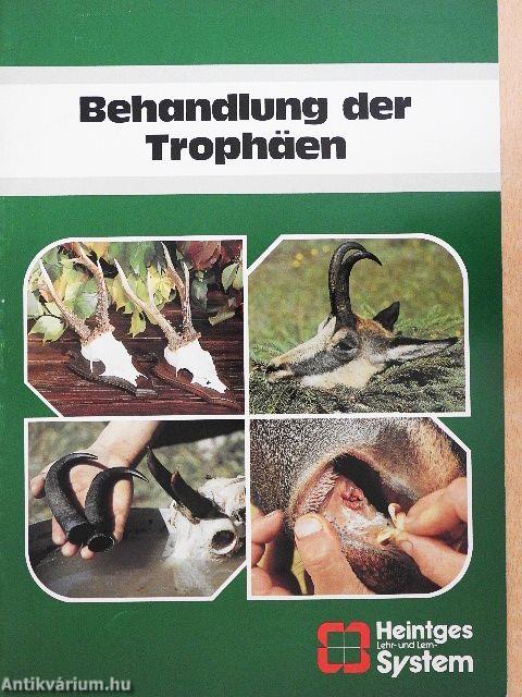 Behandlung der Trophäen