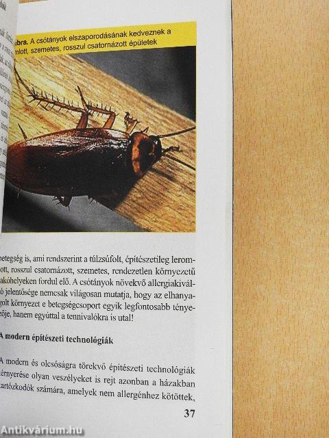 Allergia - környezetünk csapdája