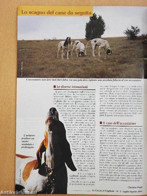 La Caccia al Cinghiale Luglio/Agosto 2001