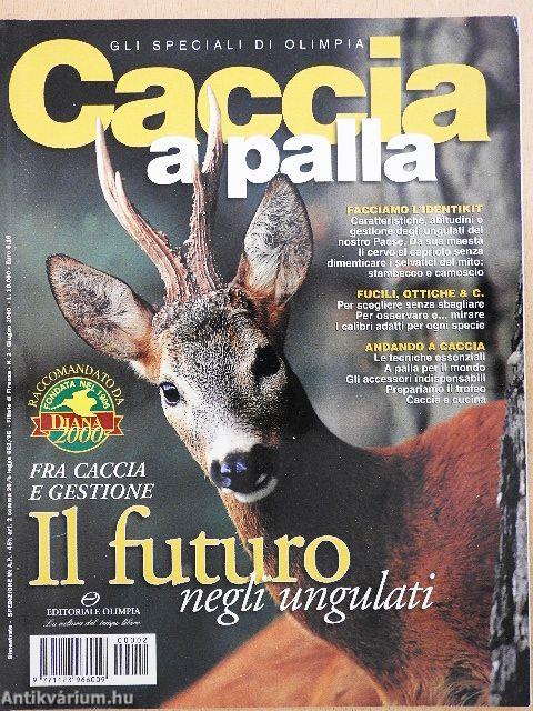 Caccia a palla Giugno 2000