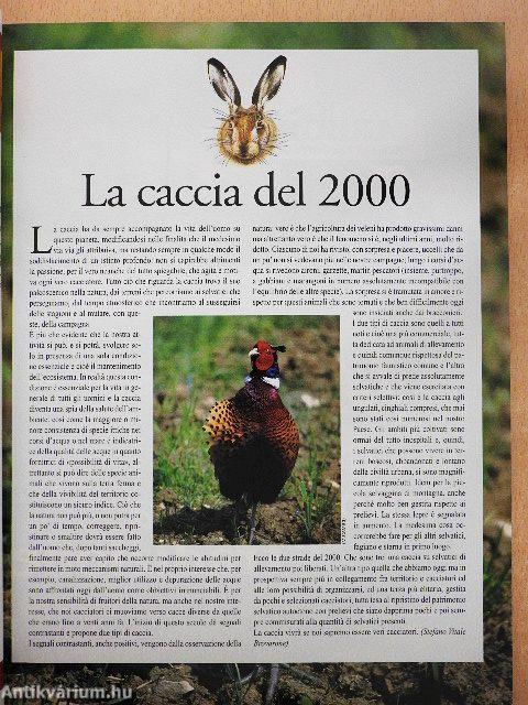 Caccia apertura Luglio 2000