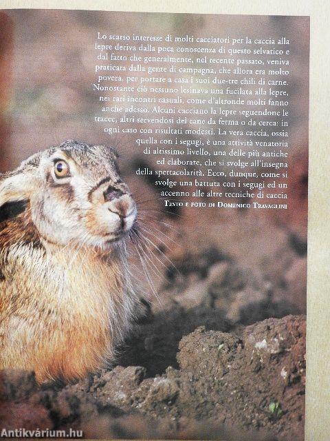 Caccia apertura Luglio 2000