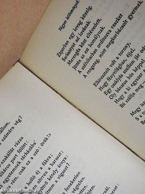 Vajda János kisebb költeményei