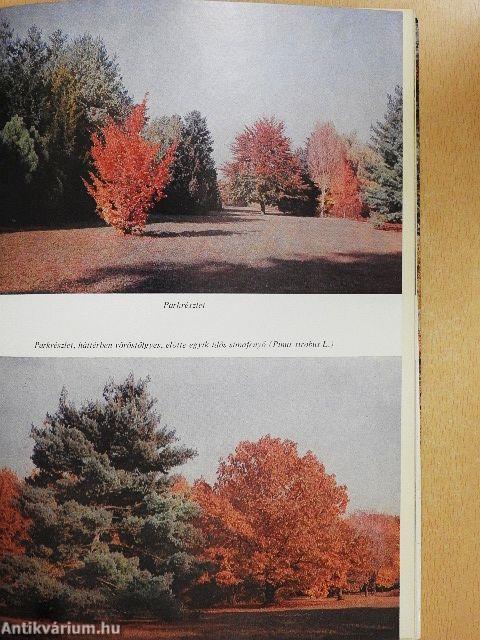 A szarvasi arborétum