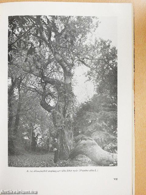 A szarvasi arborétum