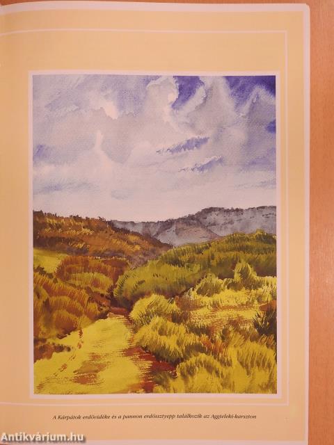 Ők élnek Pannóniában (dedikált példány)