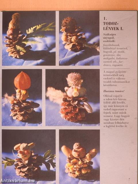 Játék természetes anyagokkal (dedikált példány)