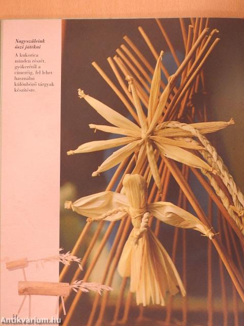 Játék természetes anyagokkal (dedikált példány)